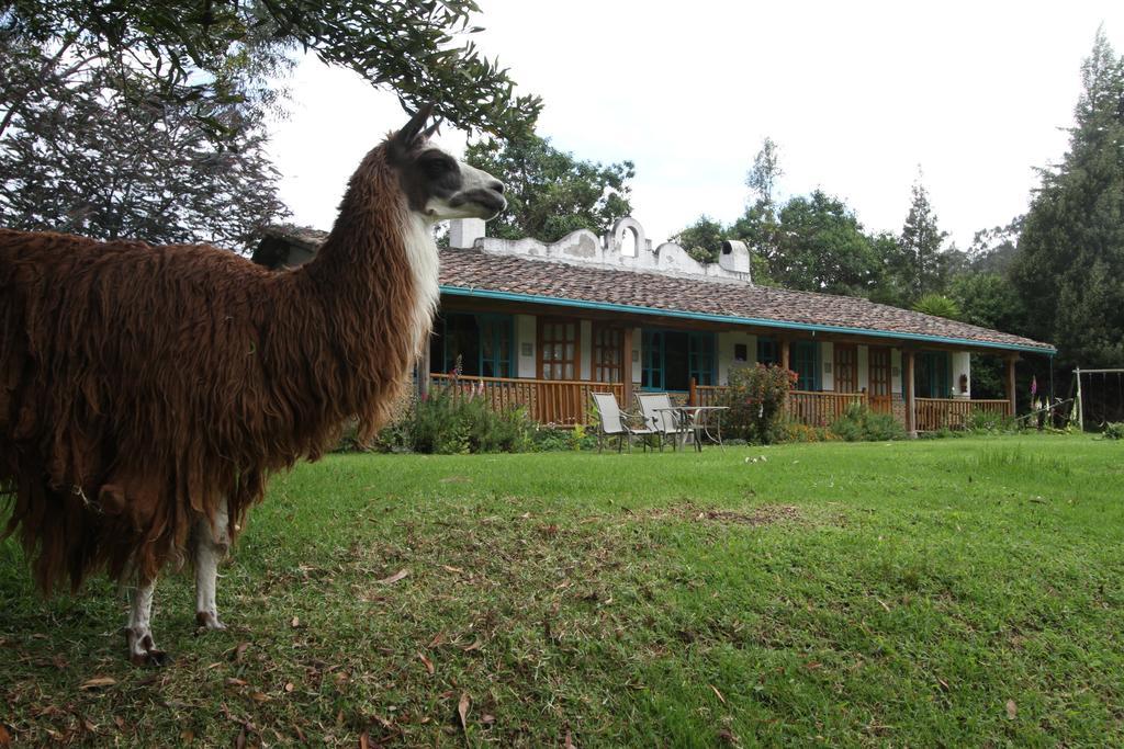 Las Palmeras Inn Отавало Екстериор снимка
