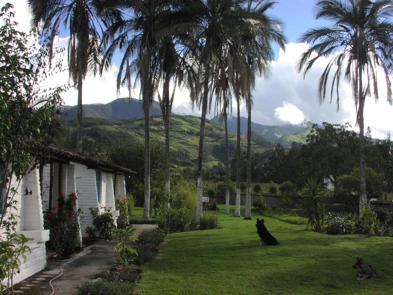 Las Palmeras Inn Отавало Екстериор снимка